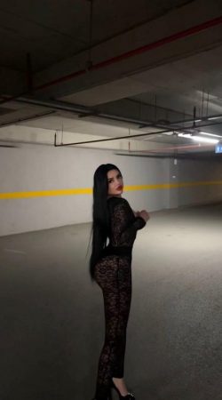 Clara Nocturna Your Dream Companion for Unforgettable Nights